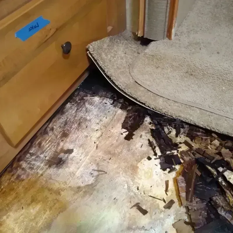 Wood Floor Water Damage in Lehigh Acres, FL